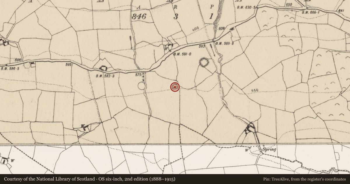 Ordnance Survey six-inch map, 2nd edition (1888–1915) covering the location of Enclosure, Killeen, County Kilkenny, with a pin at the register's coordinates