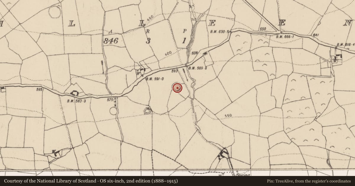 Ordnance Survey six-inch map, 2nd edition (1888–1915) covering the location of Enclosure, Killeen, County Kilkenny, with a pin at the register's coordinates