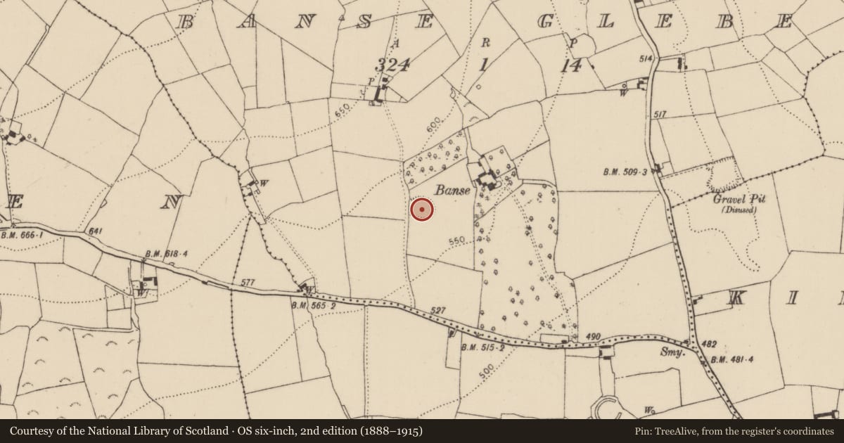 Ordnance Survey six-inch map, 2nd edition (1888–1915) covering the location of Enclosure, Banse Glebe, County Kilkenny, with a pin at the register's coordinates