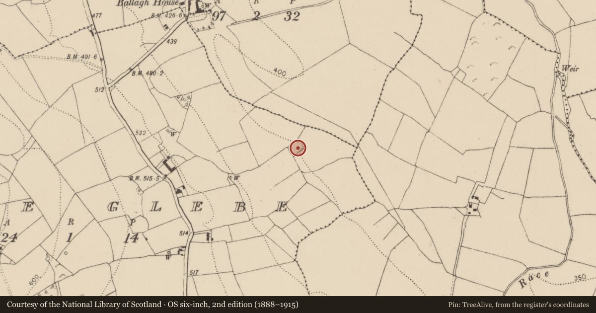 Ordnance Survey six-inch map, 2nd edition (1888–1915) covering the location of Enclosure, Banse Glebe, County Kilkenny, with a pin at the register's coordinates