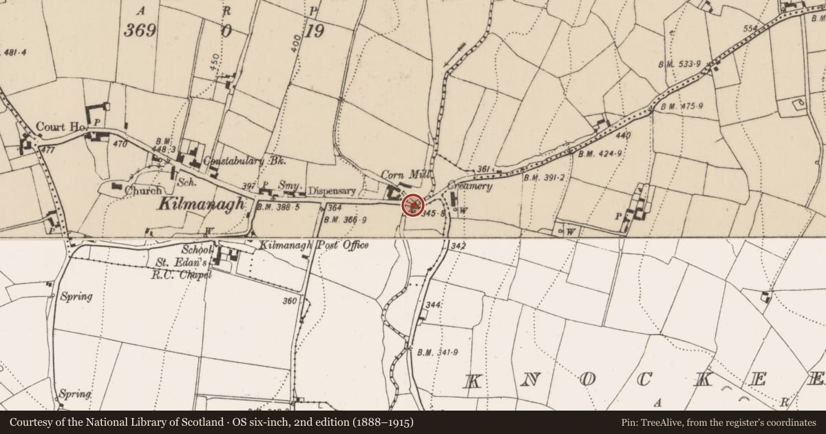 Ordnance Survey six-inch map, 2nd edition (1888–1915) covering the location of Bridge, Kilmanagh, County Kilkenny, with a pin at the register's coordinates