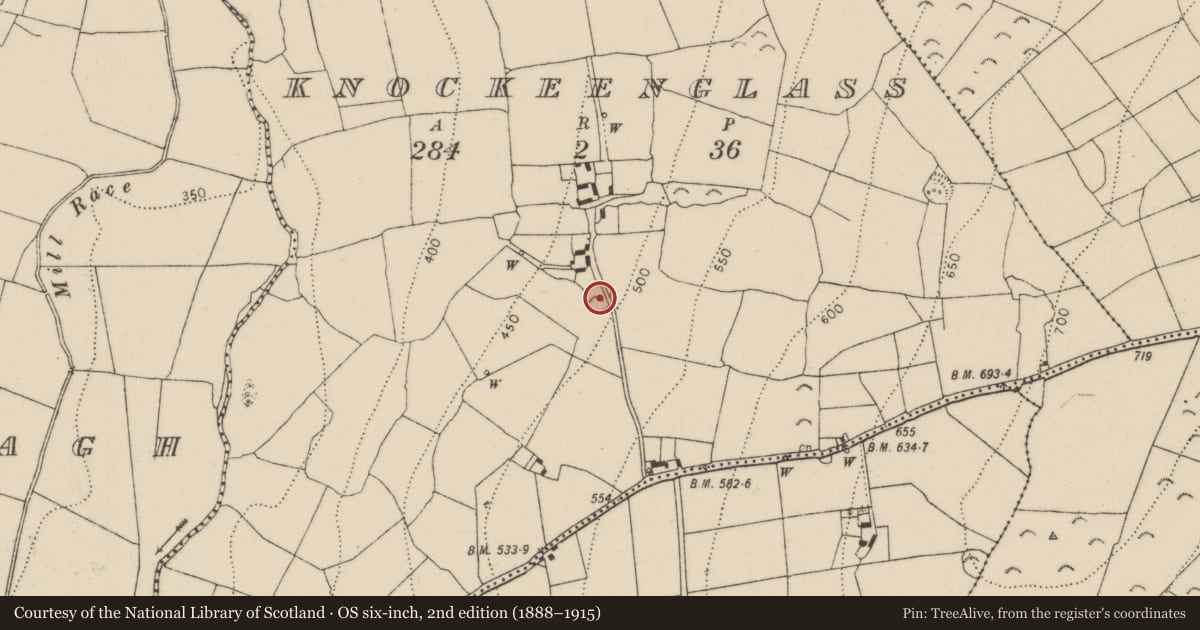Ordnance Survey six-inch map, 2nd edition (1888–1915) covering the location of Enclosure, Knockeenglass, County Kilkenny, with a pin at the register's coordinates
