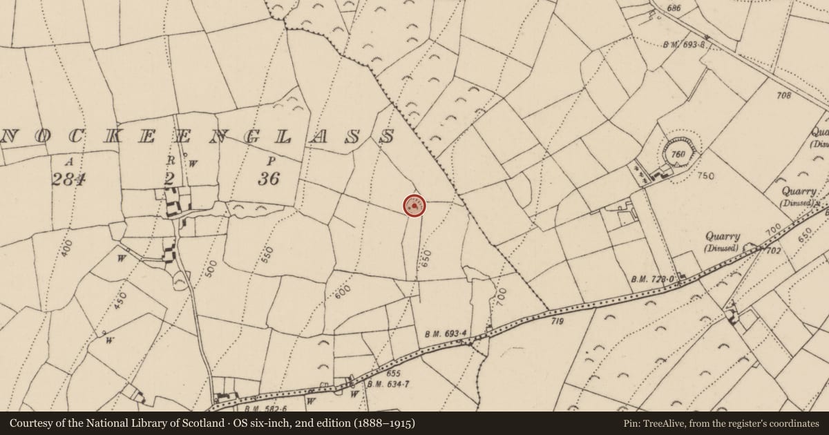 Ordnance Survey six-inch map, 2nd edition (1888–1915) covering the location of Enclosure, Knockeenglass, County Kilkenny, with a pin at the register's coordinates