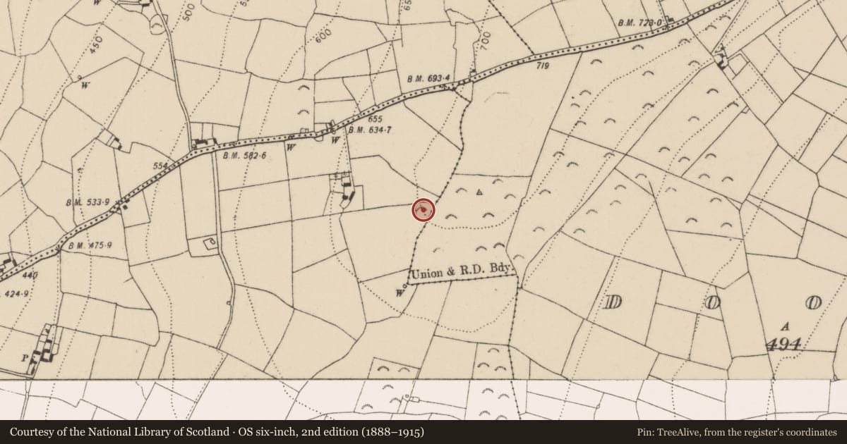 Ordnance Survey six-inch map, 2nd edition (1888–1915) covering the location of Enclosure, Knockeenbaun, Doorath, County Kilkenny, with a pin at the register's coordinates