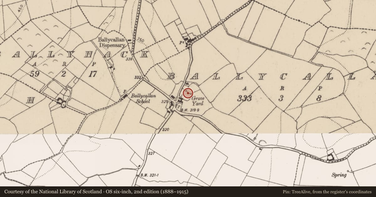 Ordnance Survey six-inch map, 2nd edition (1888–1915) covering the location of Graveslab, Ballycallan, County Kilkenny, with a pin at the register's coordinates