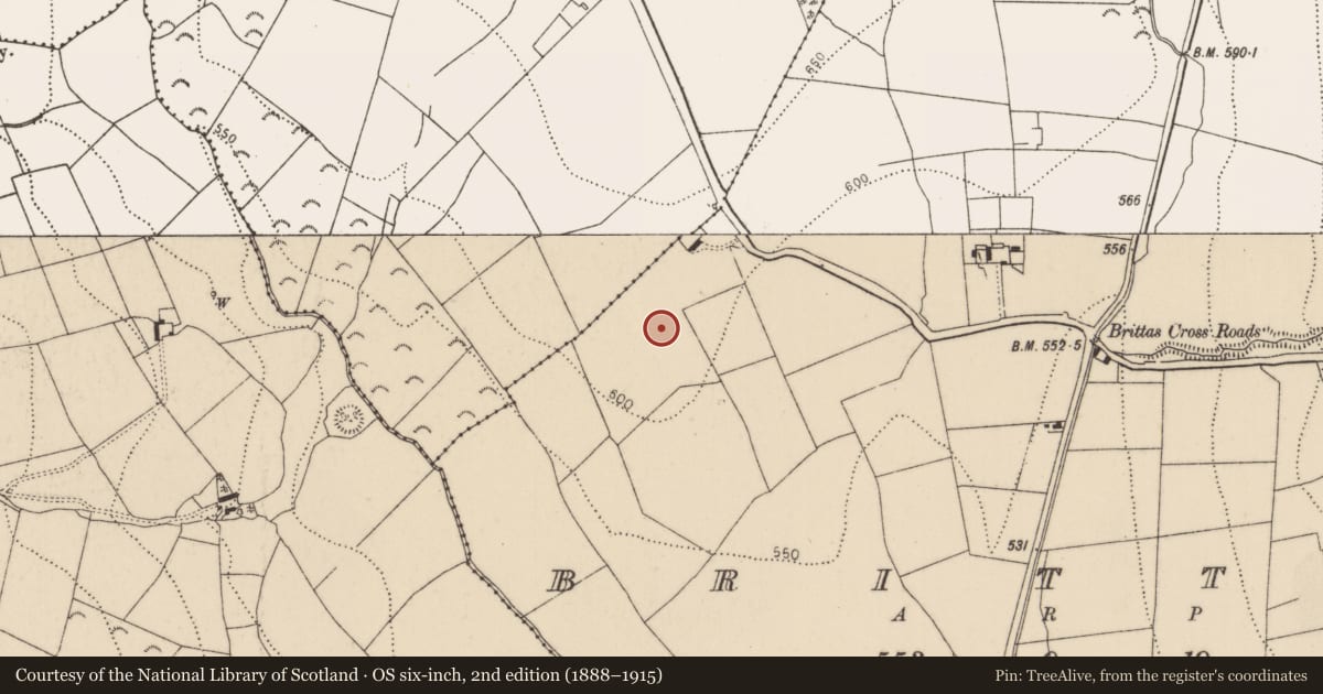 Ordnance Survey six-inch map, 2nd edition (1888–1915) covering the location of Moated site, Brittas, County Kilkenny, with a pin at the register's coordinates