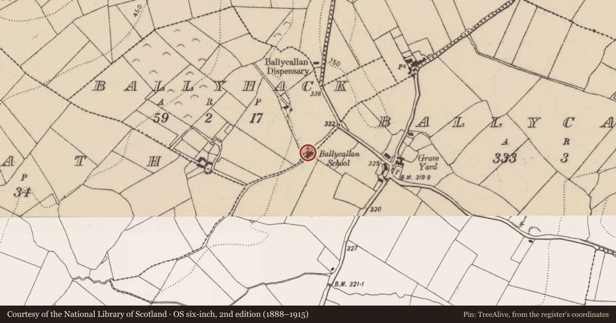 Ordnance Survey six-inch map, 2nd edition (1888–1915) covering the location of Architectural fragment, Ballycallan, County Kilkenny, with a pin at the register's coordinates