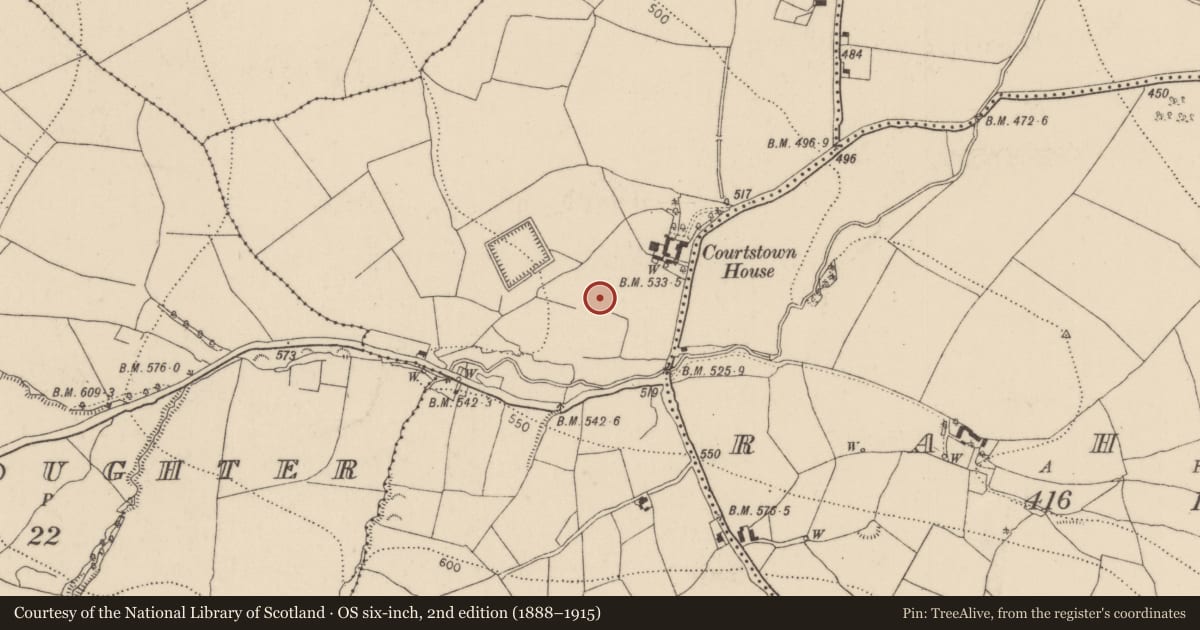 Ordnance Survey six-inch map, 2nd edition (1888–1915) covering the location of Earthwork, Courtstown, County Kilkenny, with a pin at the register's coordinates