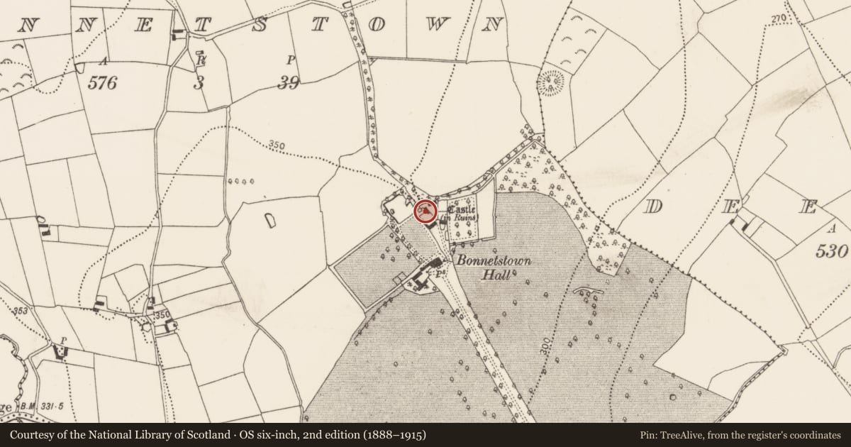 Ordnance Survey six-inch map, 2nd edition (1888–1915) covering the location of Castle - tower house, Bonnetstown, County Kilkenny, with a pin at the register's coordinates