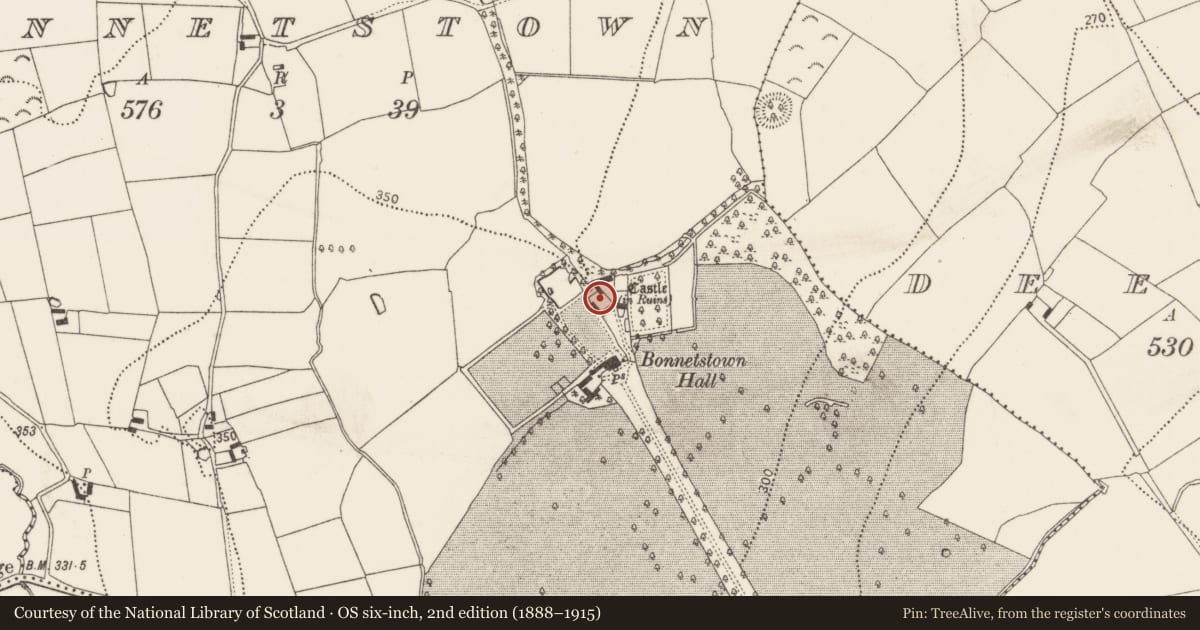 Ordnance Survey six-inch map, 2nd edition (1888–1915) covering the location of Building, Bonnetstown, County Kilkenny, with a pin at the register's coordinates