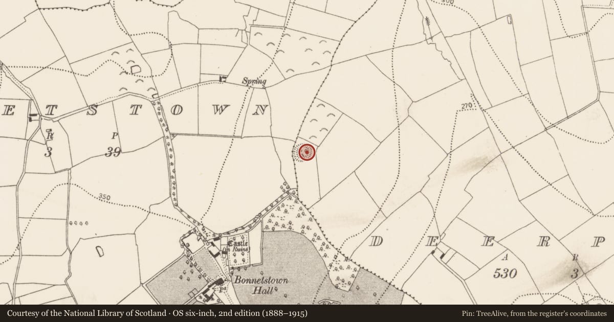 Ordnance Survey six-inch map, 2nd edition (1888–1915) covering the location of Ringfort - unclassified, Deerpark, County Kilkenny, with a pin at the register's coordinates