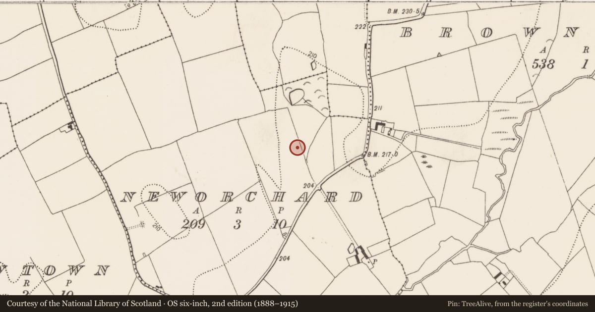 Ordnance Survey six-inch map, 2nd edition (1888–1915) covering the location of Enclosure, Neworchard, County Kilkenny, with a pin at the register's coordinates