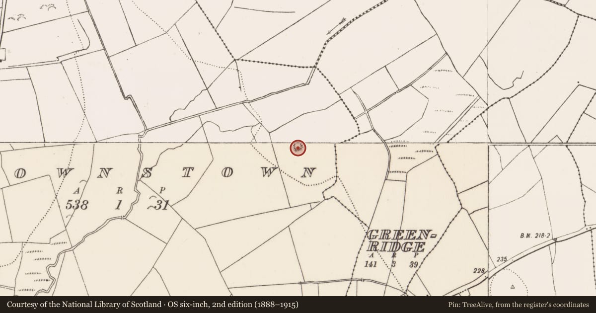 Ordnance Survey six-inch map, 2nd edition (1888–1915) covering the location of Enclosure, Brownstown, County Kilkenny, with a pin at the register's coordinates
