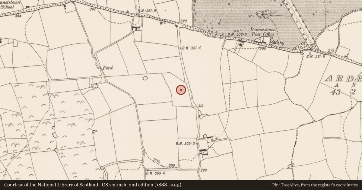 Ordnance Survey six-inch map, 2nd edition (1888–1915) covering the location of Ringfort - rath, Newtown, County Kilkenny, with a pin at the register's coordinates