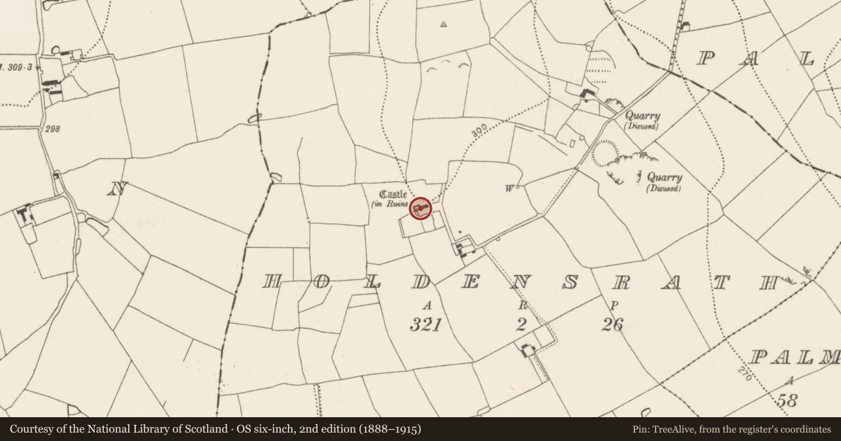 Ordnance Survey six-inch map, 2nd edition (1888–1915) covering the location of Castle - tower house, Holdensrath, County Kilkenny, with a pin at the register's coordinates