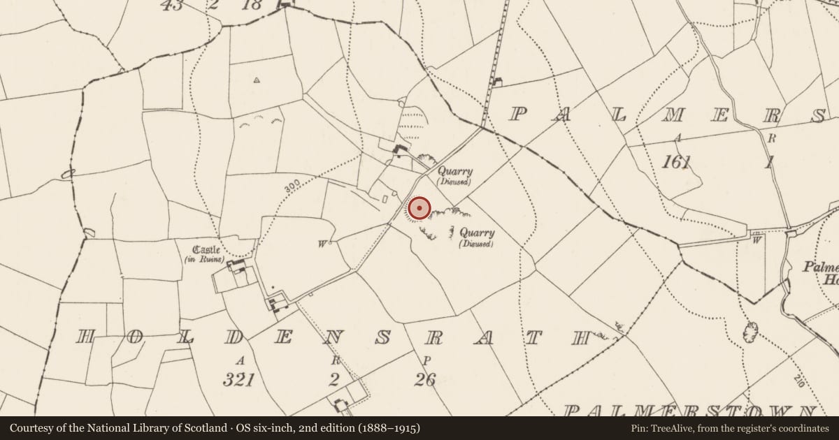 Ordnance Survey six-inch map, 2nd edition (1888–1915) covering the location of Ringfort - rath, Holdensrath, County Kilkenny, with a pin at the register's coordinates