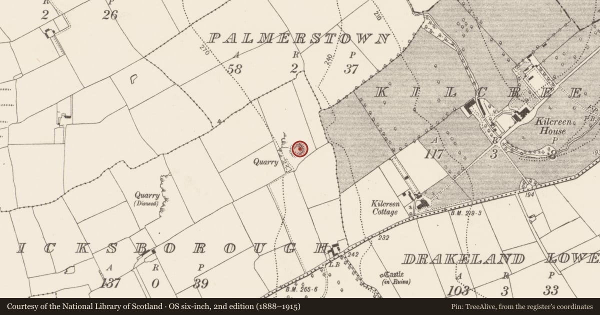 Ordnance Survey six-inch map, 2nd edition (1888–1915) covering the location of Ringfort - rath, Dicksborough, County Kilkenny, with a pin at the register's coordinates