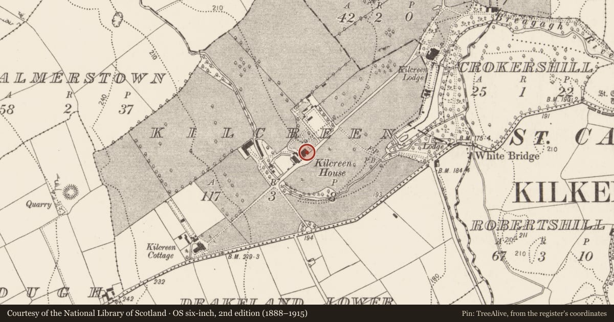 Ordnance Survey six-inch map, 2nd edition (1888–1915) covering the location of Castle - unclassified, Kilcreen, County Kilkenny, with a pin at the register's coordinates