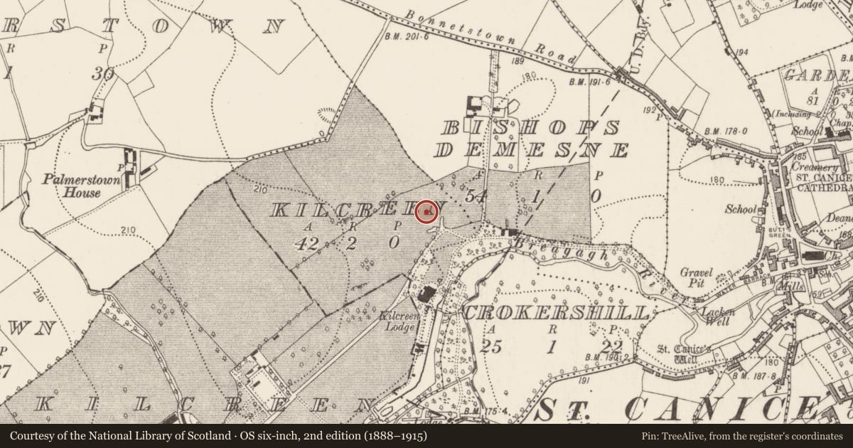 Ordnance Survey six-inch map, 2nd edition (1888–1915) covering the location of Ring-ditch, Kilcreen, County Kilkenny, with a pin at the register's coordinates