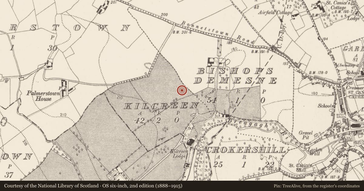 Ordnance Survey six-inch map, 2nd edition (1888–1915) covering the location of Ring-ditch, Kilcreen, County Kilkenny, with a pin at the register's coordinates