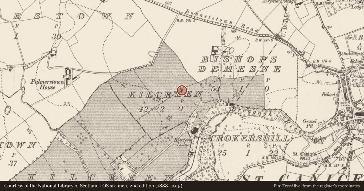 Ordnance Survey six-inch map, 2nd edition (1888–1915) covering the location of Enclosure, Kilcreen, County Kilkenny, with a pin at the register's coordinates