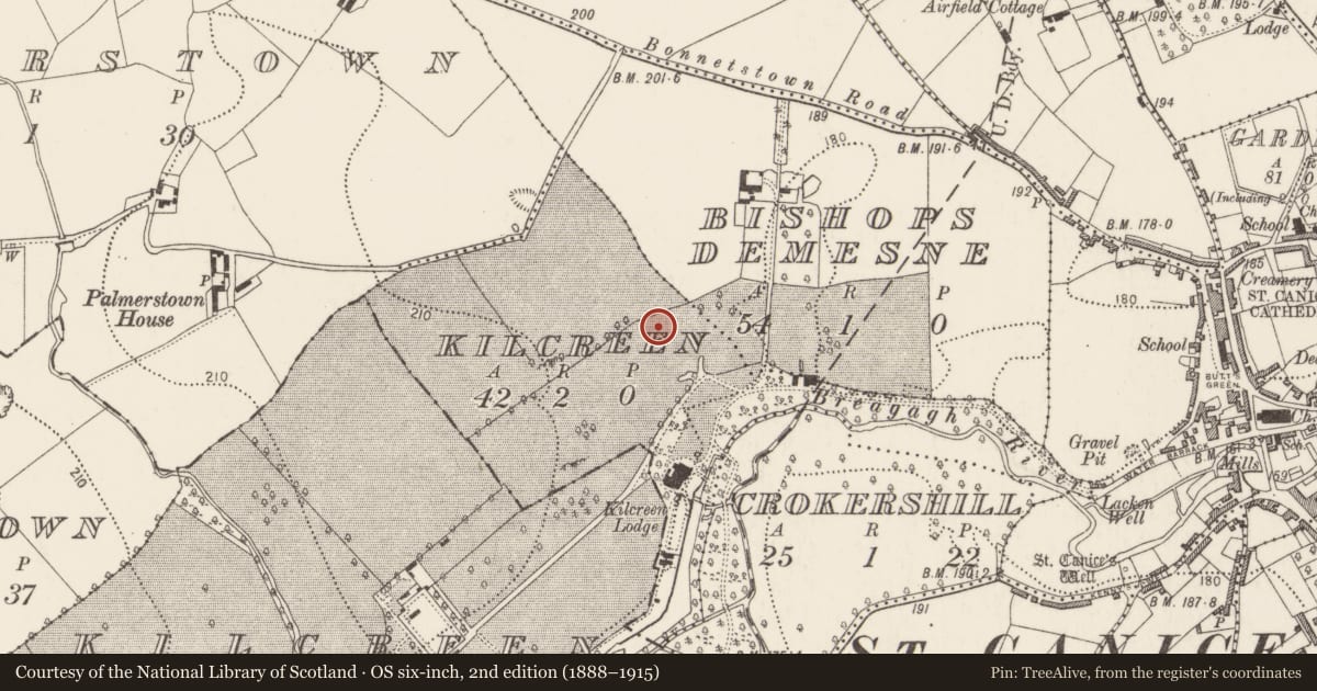 Ordnance Survey six-inch map, 2nd edition (1888–1915) covering the location of Field system, Kilcreen, County Kilkenny, with a pin at the register's coordinates