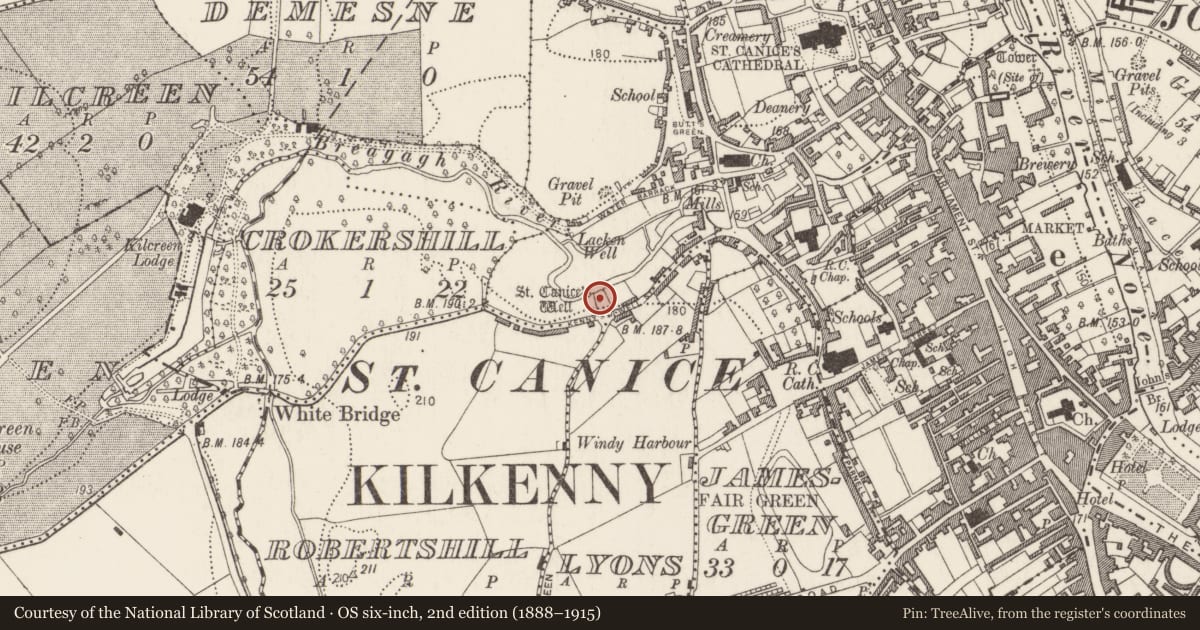 Ordnance Survey six-inch map, 2nd edition (1888–1915) covering the location of Ritual site - holy well, Gardens (Kilkenny City By., St. Canice Par.), County Kilkenny, with a pin at the register's coordinates