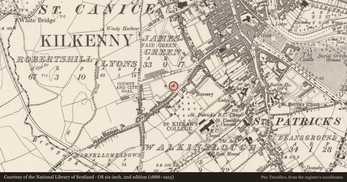 Ordnance Survey six-inch map, 2nd edition (1888–1915) covering the location of Church, Jamesgreen, County Kilkenny, with a pin at the register's coordinates
