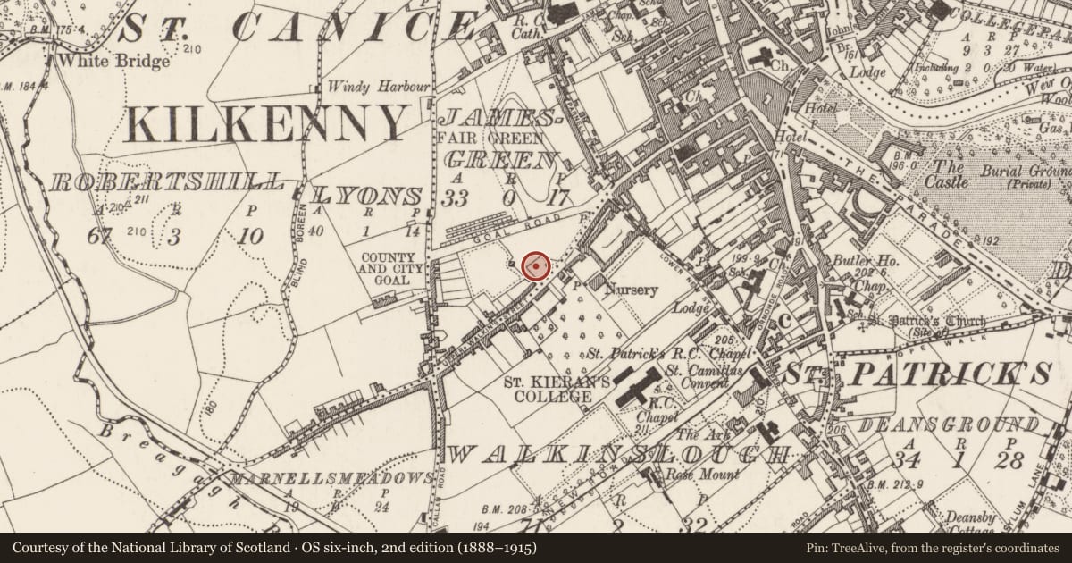 Ordnance Survey six-inch map, 2nd edition (1888–1915) covering the location of Architectural fragment, Jamesgreen, County Kilkenny, with a pin at the register's coordinates