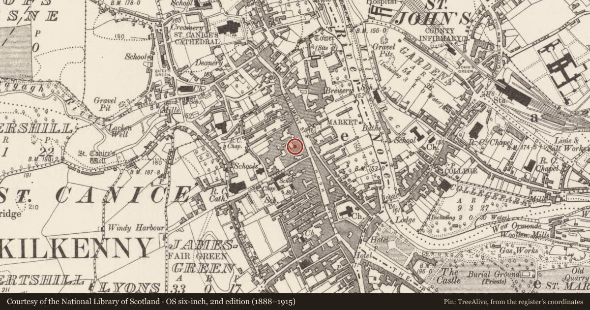 Ordnance Survey six-inch map, 2nd edition (1888–1915) covering the location of Historic town, County Kilkenny, with a pin at the register's coordinates