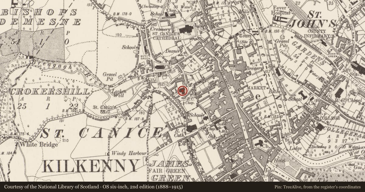 Ordnance Survey six-inch map, 2nd edition (1888–1915) covering the location of Religious house - Dominican friars, Gardens (Kilkenny City By., St. Canice Par.), County Kilkenny, with a pin at the register's coordinates