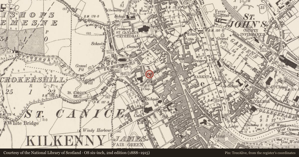 Ordnance Survey six-inch map, 2nd edition (1888–1915) covering the location of Ritual site - holy well, Gardens (Kilkenny City By., St. Canice Par.), County Kilkenny, with a pin at the register's coordinates