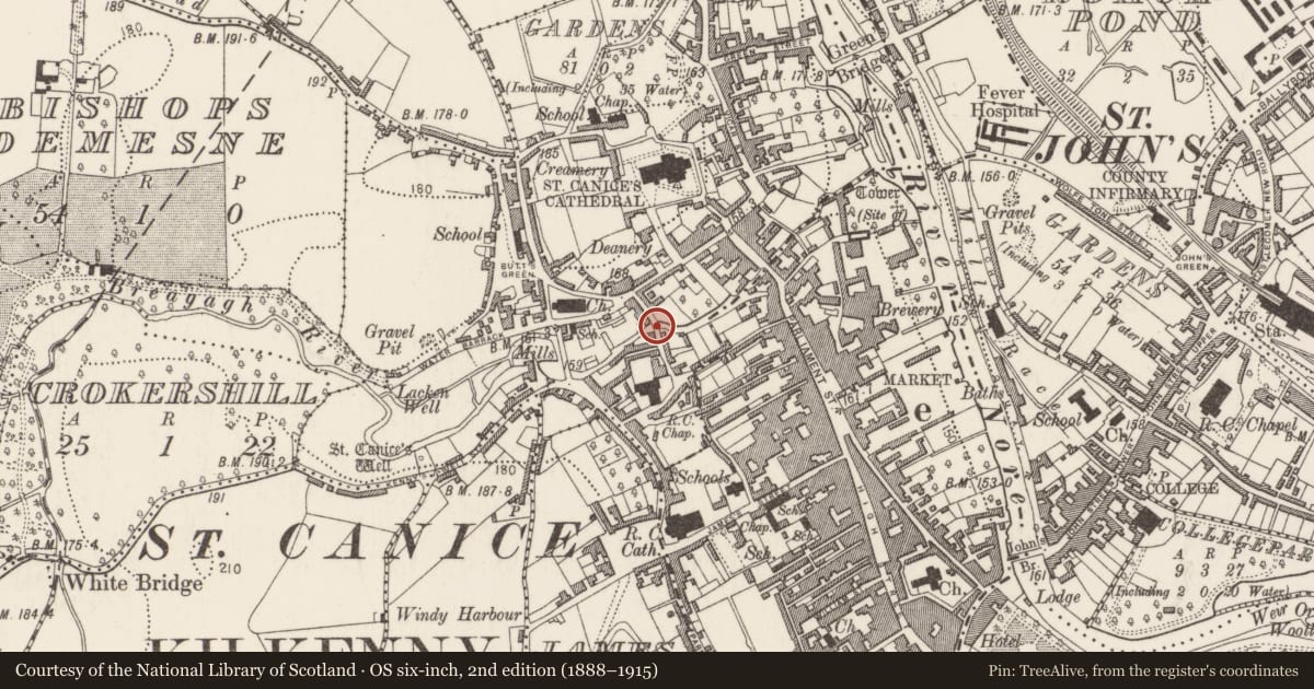 Ordnance Survey six-inch map, 2nd edition (1888–1915) covering the location of Bridge, Gardens (Kilkenny City By., St. Canice Par.), County Kilkenny, with a pin at the register's coordinates