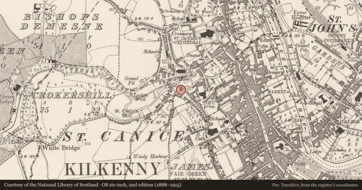 Ordnance Survey six-inch map, 2nd edition (1888–1915) covering the location of Bridge, Gardens (Kilkenny City By., St. Canice Par.), County Kilkenny, with a pin at the register's coordinates