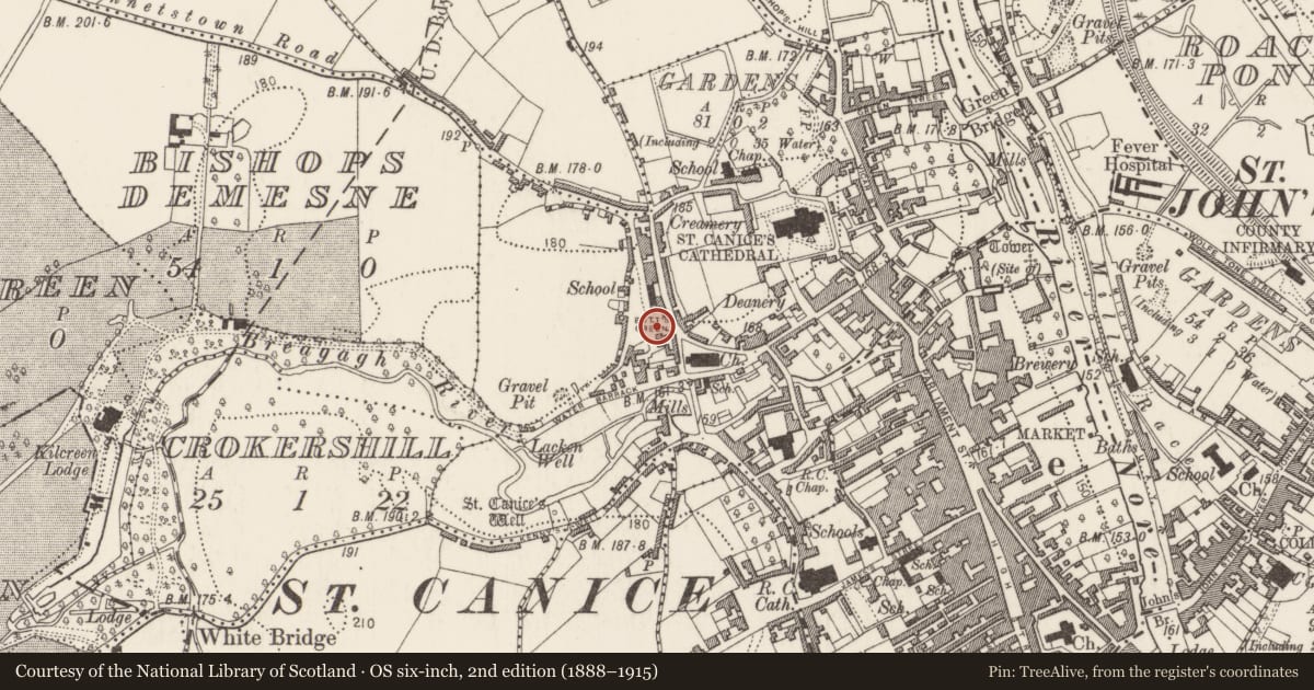 Ordnance Survey six-inch map, 2nd edition (1888–1915) covering the location of Bullring, Gardens (Kilkenny City By., St. Canice Par.), County Kilkenny, with a pin at the register's coordinates