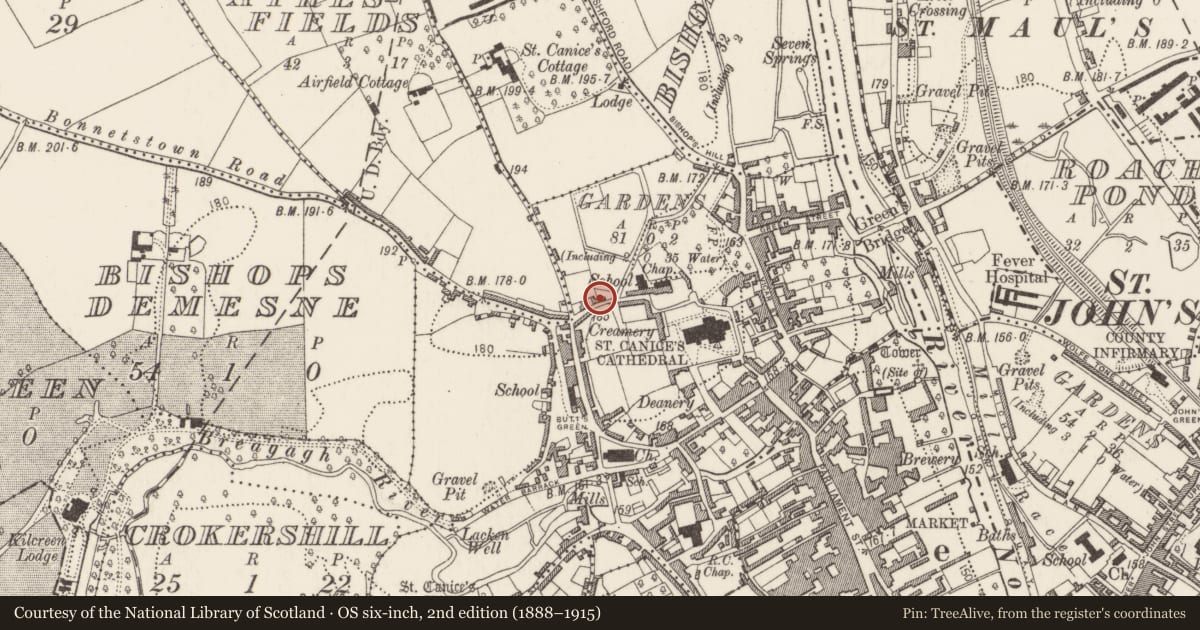 Ordnance Survey six-inch map, 2nd edition (1888–1915) covering the location of Chapel, County Kilkenny, with a pin at the register's coordinates
