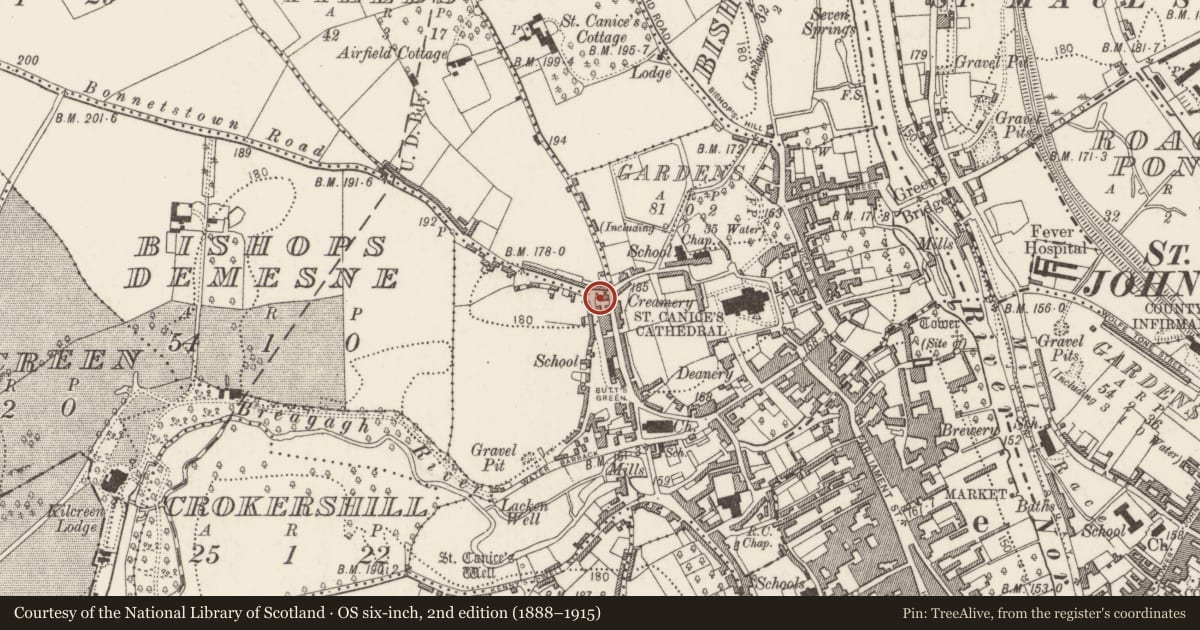 Ordnance Survey six-inch map, 2nd edition (1888–1915) covering the location of Cross - Wayside cross, Gardens (Kilkenny City By., St. Canice Par.), County Kilkenny, with a pin at the register's coordinates