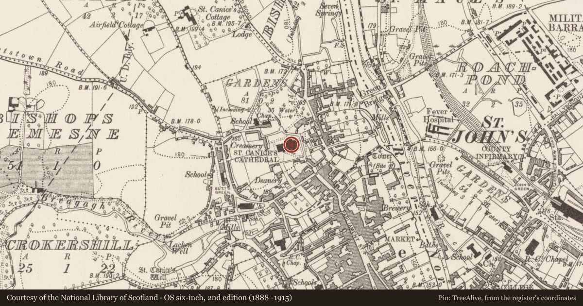 Ordnance Survey six-inch map, 2nd edition (1888–1915) covering the location of Cathedral, Gardens (Kilkenny City By., St. Canice Par.), County Kilkenny, with a pin at the register's coordinates