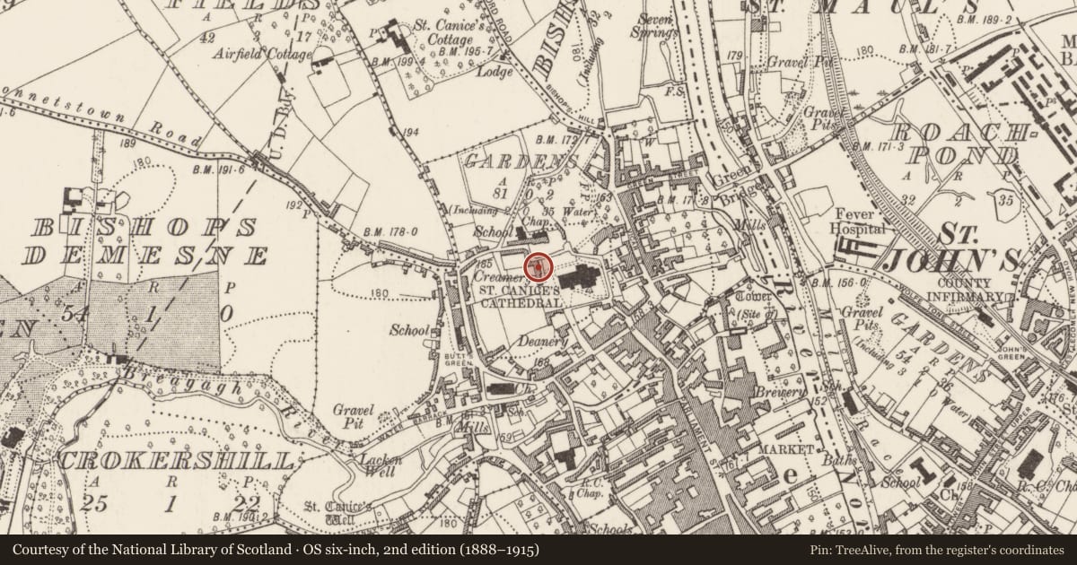 Ordnance Survey six-inch map, 2nd edition (1888–1915) covering the location of House - medieval, Gardens (Kilkenny City By., St. Canice Par.), County Kilkenny, with a pin at the register's coordinates
