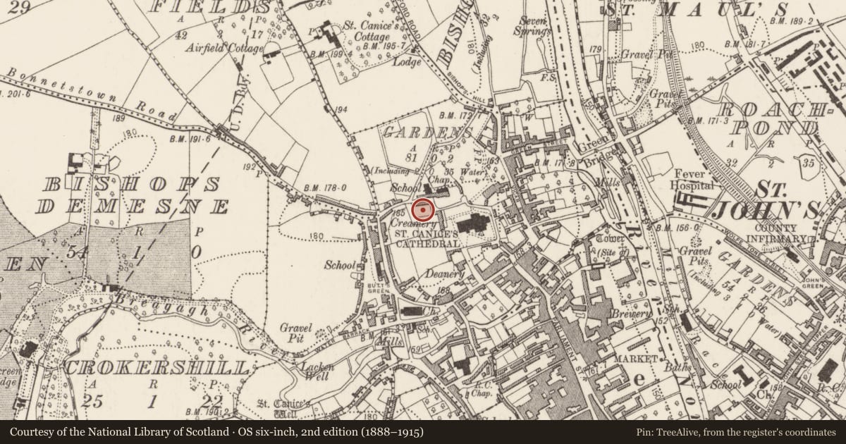 Ordnance Survey six-inch map, 2nd edition (1888–1915) covering the location of Castle - unclassified, Gardens (Kilkenny City By., St. Canice Par.), County Kilkenny, with a pin at the register's coordinates