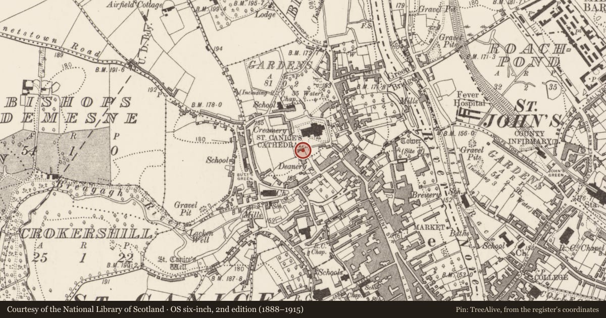 Ordnance Survey six-inch map, 2nd edition (1888–1915) covering the location of Architectural fragment, Gardens (Kilkenny City By., St. Canice Par.), County Kilkenny, with a pin at the register's coordinates