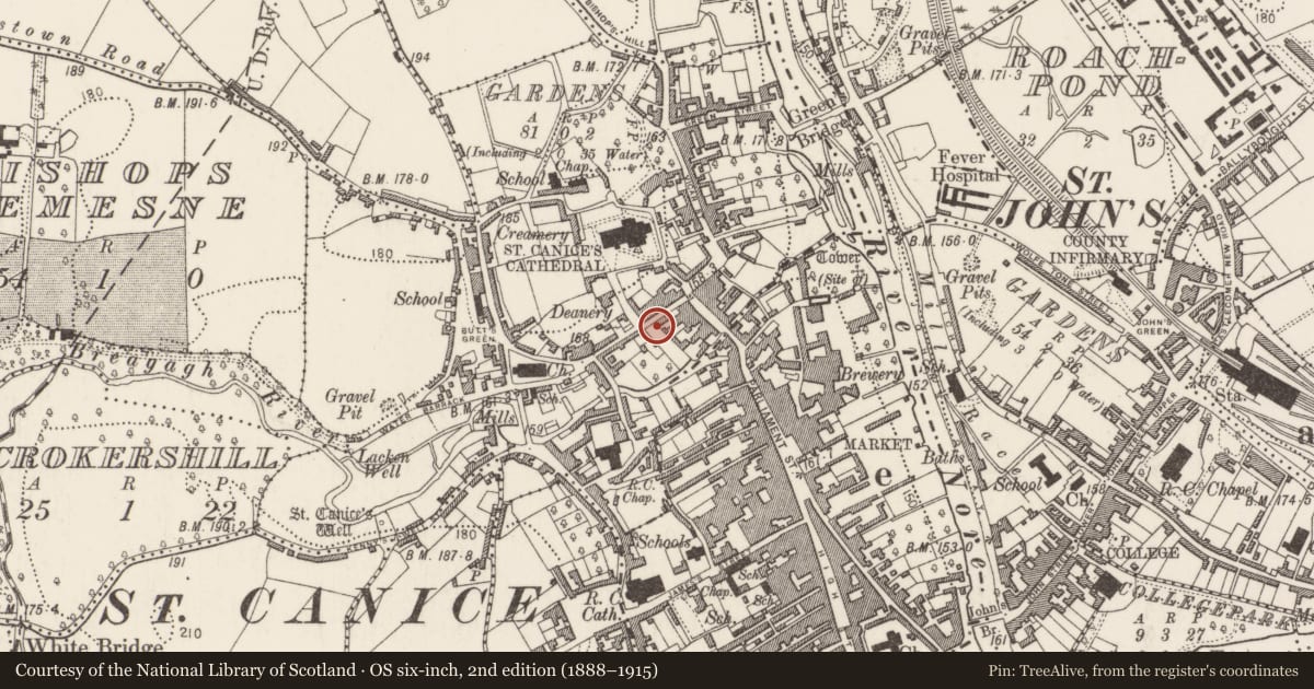 Ordnance Survey six-inch map, 2nd edition (1888–1915) covering the location of House - 16th/17th century, Gardens (Kilkenny City By., St. Canice Par.), County Kilkenny, with a pin at the register's coordinates
