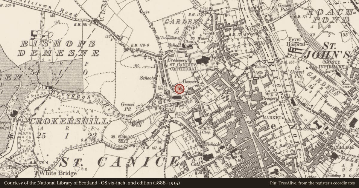 Ordnance Survey six-inch map, 2nd edition (1888–1915) covering the location of Chapel, Gardens (Kilkenny City By., St. Canice Par.), County Kilkenny, with a pin at the register's coordinates
