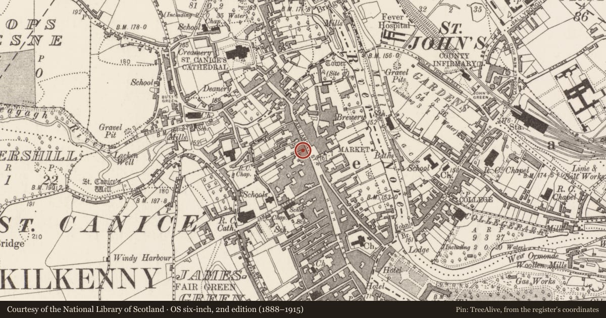 Ordnance Survey six-inch map, 2nd edition (1888–1915) covering the location of Architectural fragment, Gardens (Kilkenny City By., St. Mary’s Par.), County Kilkenny, with a pin at the register's coordinates