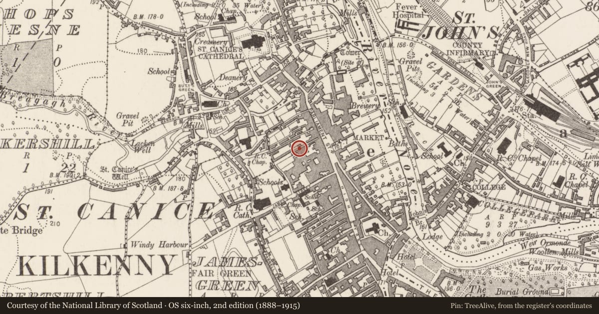 Ordnance Survey six-inch map, 2nd edition (1888–1915) covering the location of Architectural fragment, Gardens (Kilkenny City By., St. Mary’s Par.), County Kilkenny, with a pin at the register's coordinates