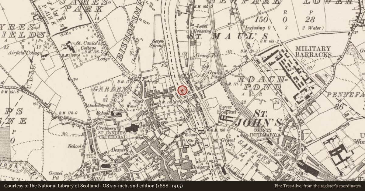 Ordnance Survey six-inch map, 2nd edition (1888–1915) covering the location of Bridge, County Kilkenny, with a pin at the register's coordinates