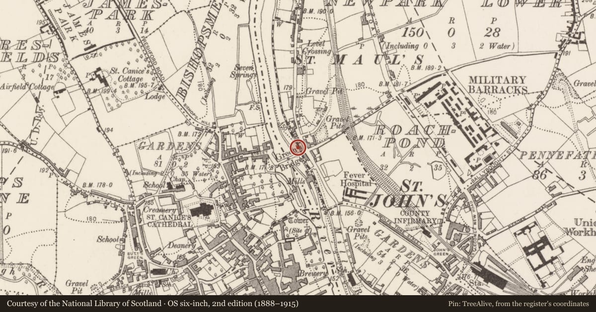 Ordnance Survey six-inch map, 2nd edition (1888–1915) covering the location of Water mill - vertical-wheeled, County Kilkenny, with a pin at the register's coordinates