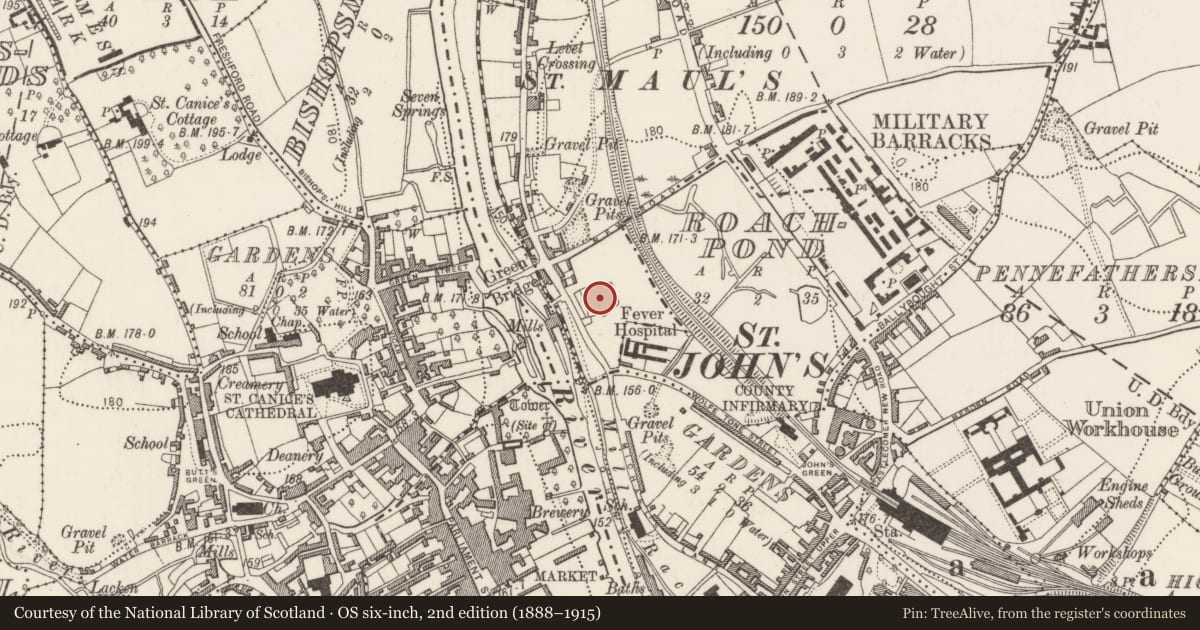 Ordnance Survey six-inch map, 2nd edition (1888–1915) covering the location of Church, Newpark Lower, County Kilkenny, with a pin at the register's coordinates