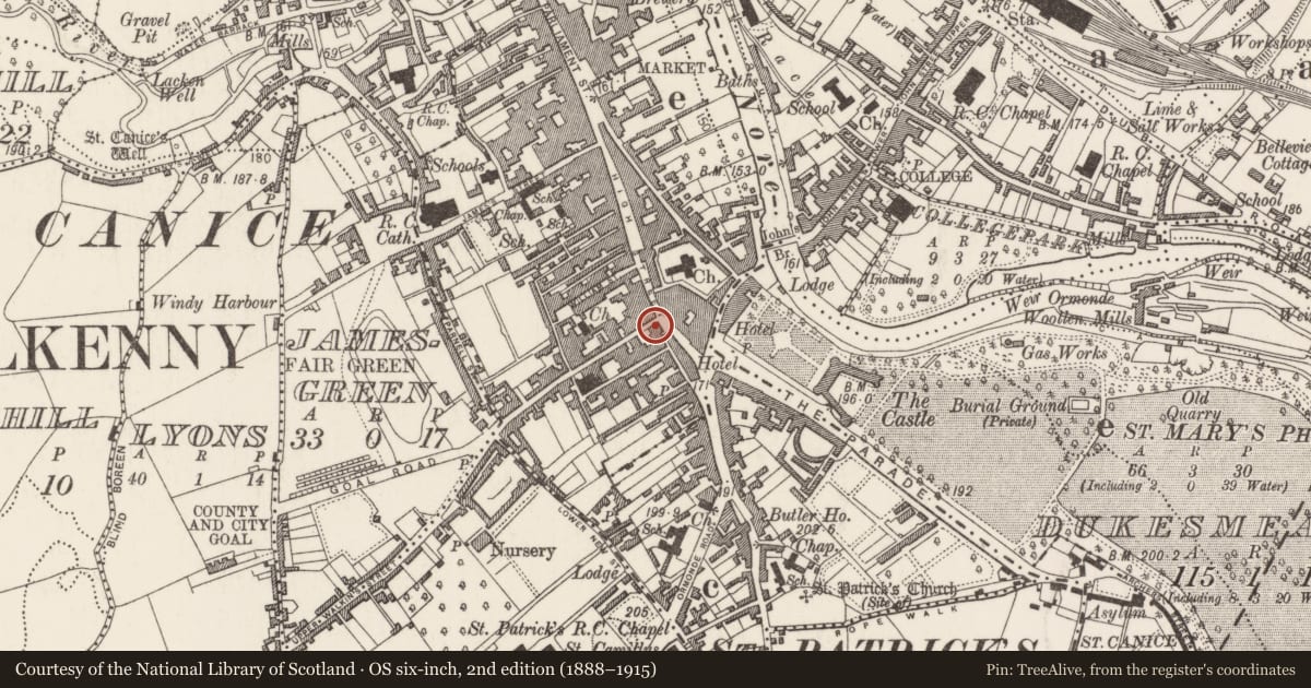 Ordnance Survey six-inch map, 2nd edition (1888–1915) covering the location of House - 16th/17th century, Gardens (Kilkenny City By., St. Mary’s Par.), County Kilkenny, with a pin at the register's coordinates