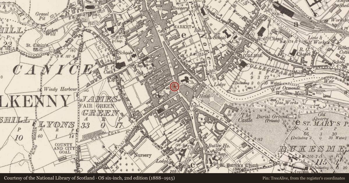 Ordnance Survey six-inch map, 2nd edition (1888–1915) covering the location of House - 16th century, Gardens (Kilkenny City By., St. Mary’s Par.), County Kilkenny, with a pin at the register's coordinates